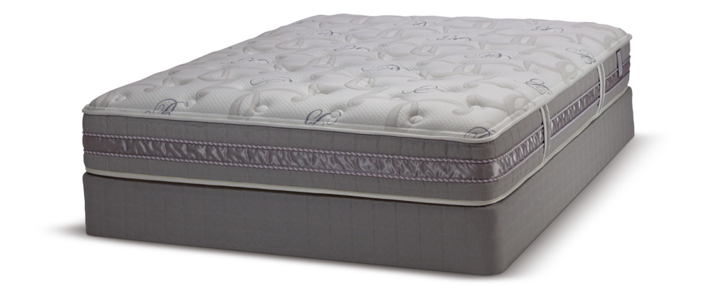 Dryden Plush Twin Low Profile Mattress Set
