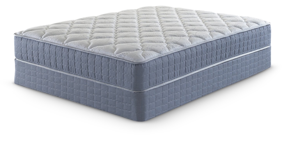Dryden Plush Full Low Profile Mattress Set
